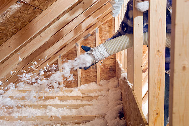 Best Insulation for Existing Homes  in Casselberry, FL